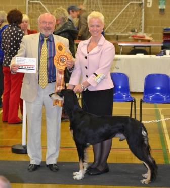 image: Best in Show