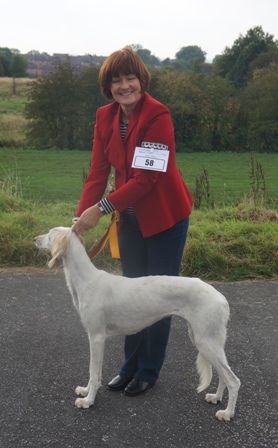 image: Best Puppy in Show