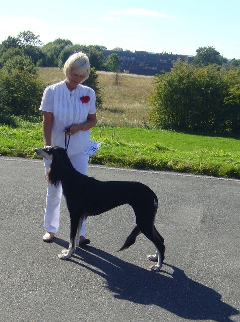 image: Best in Show
