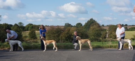 image: Class 3 Junior Dog image: Class 3 Junior Dog