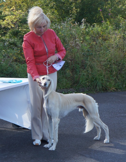 image: Class 8 Limit Dog 