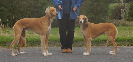 image: Progeny