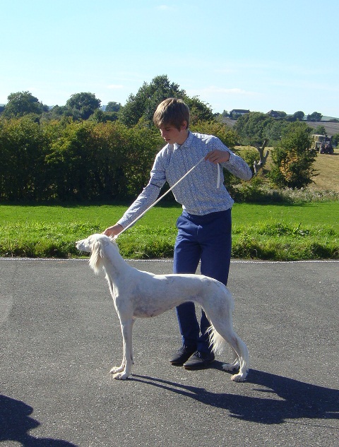 image: Reserve Best in Show
