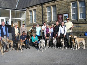 image: Saluki Walk 2008