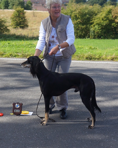 image: Class 10 Special Beginner’s Dog 