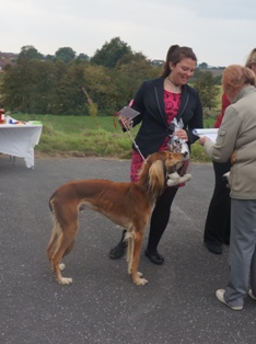image: Fun Class 1 Best Rescue Judge Judith White