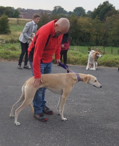 image: Fun Class 2 Most Handsome Dog Judge David Haworth
