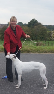 image: Fun Class 1 Best Rescue Judge Judith White