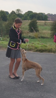image: Fun Class 2 Most Handsome Dog Judge David Haworth