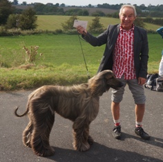 image: Fun Class 5 Best 6 Legs Judge Sue Edge