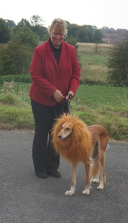 image: Fun Class 6 Best Fancy Dress Judge Deb Steele