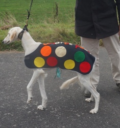 image: Fun Class 6 Best Fancy Dress Judge Deb Steele
