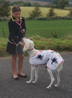 image: Fun Class 6 Best Fancy Dress Judge Deb Steele