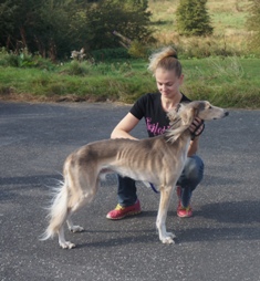 image: Class 6 Graduate Dog image: Class 6 Graduate Dog