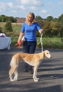 image: Class 3 Junior Dog image: Class 3 Junior Dog