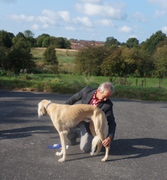 image: Class 3 Junior Dog image: Class 3 Junior Dog
