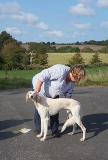 image: Class 3 Junior Dog image: Class 3 Junior Dog