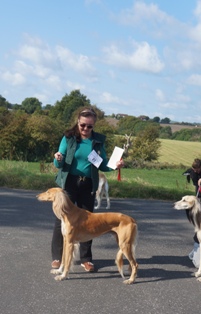 image: Class 8 Limit Dog image: Class 8 Limit Dog