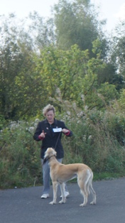 image: Class 8 Limit Dog image: Class 8 Limit Dog
