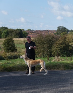 image: Class 9 Open Dog image: Class 9 Open Dog