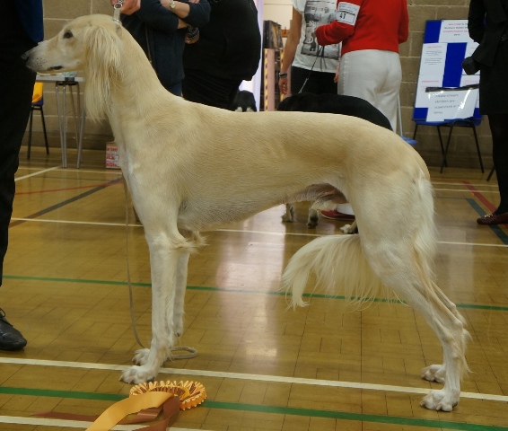 image: Reserve Best in Show