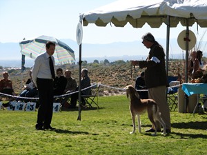 image: The NSC on tour in Albuquerque 2006