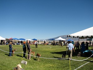 image: The NSC on tour in Albuquerque 2006