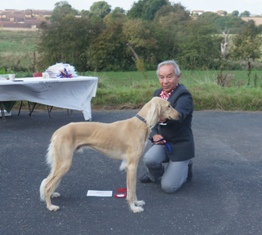 image: Class 4 Yearling Dog image: Class 4 Yearling Dog